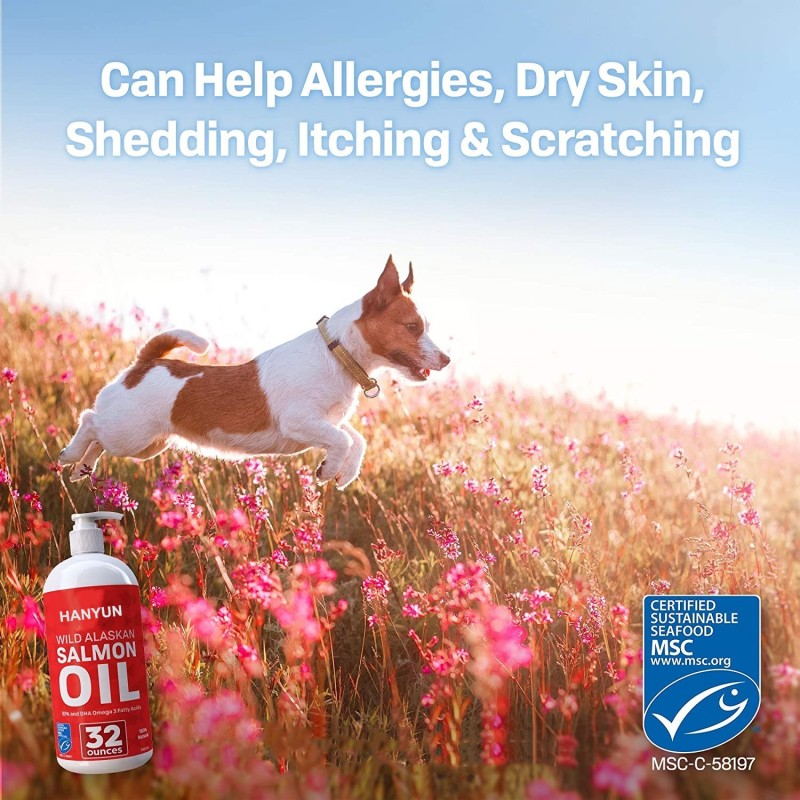 Pet Fish Oil Manufacturer - Fish Oil Wild Alaskan Salmon Oil EPA DHA Liquid Skin Coat Joints