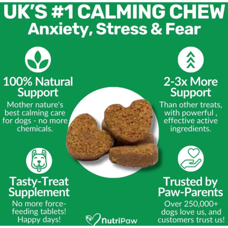 Pet Calming Chews Factory - OEM Calming Treats with Hem Seed Oil Chamomile Anxiety Stress Relief