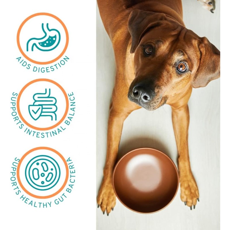 Pet Probiotic Powder Manufacturer - Factory Pet Probiotic Nutritional Powder Prebiotics Probiotics