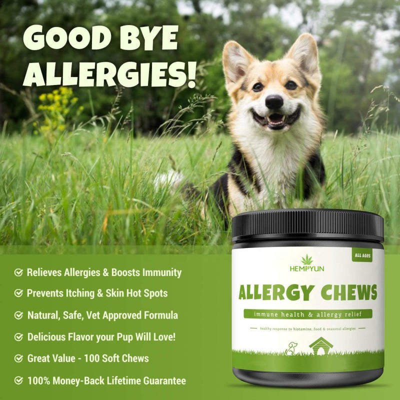 Pet Allergy Chews Manufacturer - Organic Allergy Soft Chews Customizable Brand Meat Pain Relief