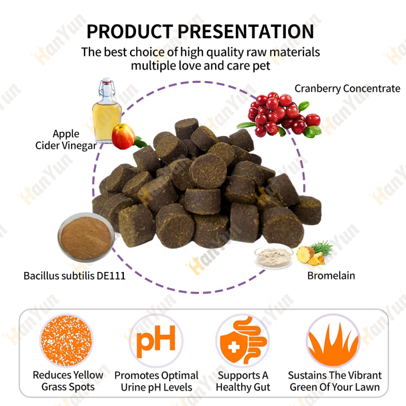 Pet Joint Chews Manufacturer - OEM ODM 10 in 1 Soft Chews Advanced Hip Joint Supplement Glucosamine