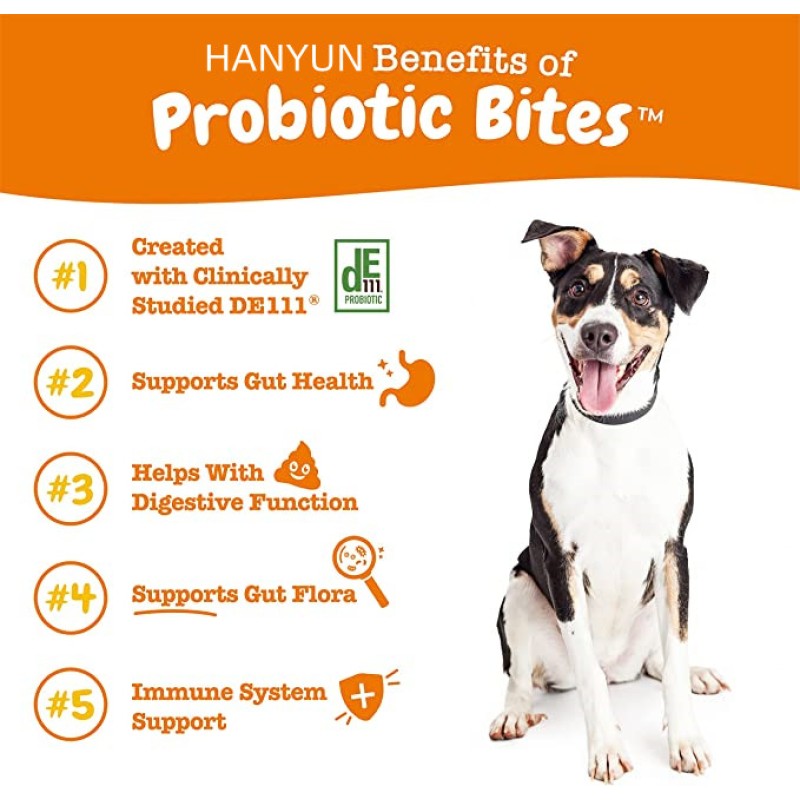 Pet Probiotic Supplier - Hanyun Custom Private Label Probiotic Chew Supplements Pet Health Care