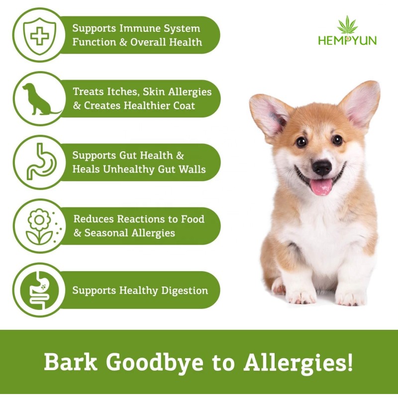 Pet Allergy Chews Manufacturer - Organic Allergy Soft Chews Customizable Brand Meat Pain Relief