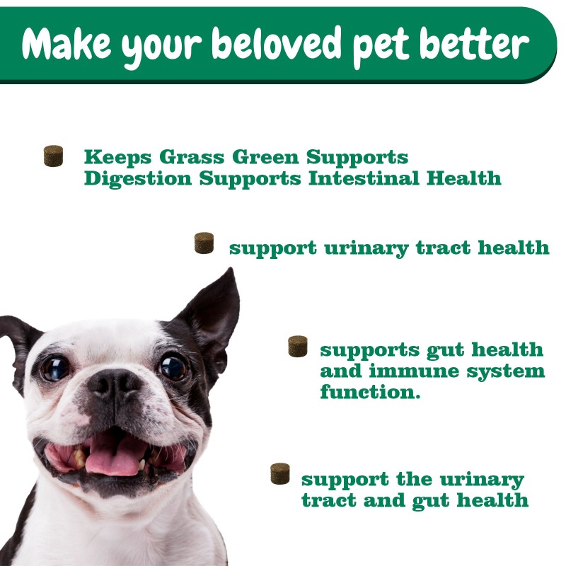 Pet Lawn Saver Factory - Private Label Dog Pee Lawn Spot Saver Prevent Grass Burn Spots Chews