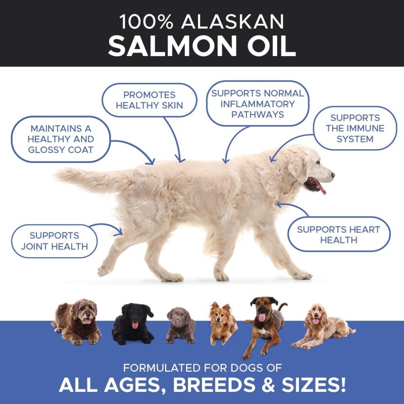 Pet Salmon Oil Factory - Pure Wild Alaskan Salmon Oil Relieves Scratching Joint Pain Improves