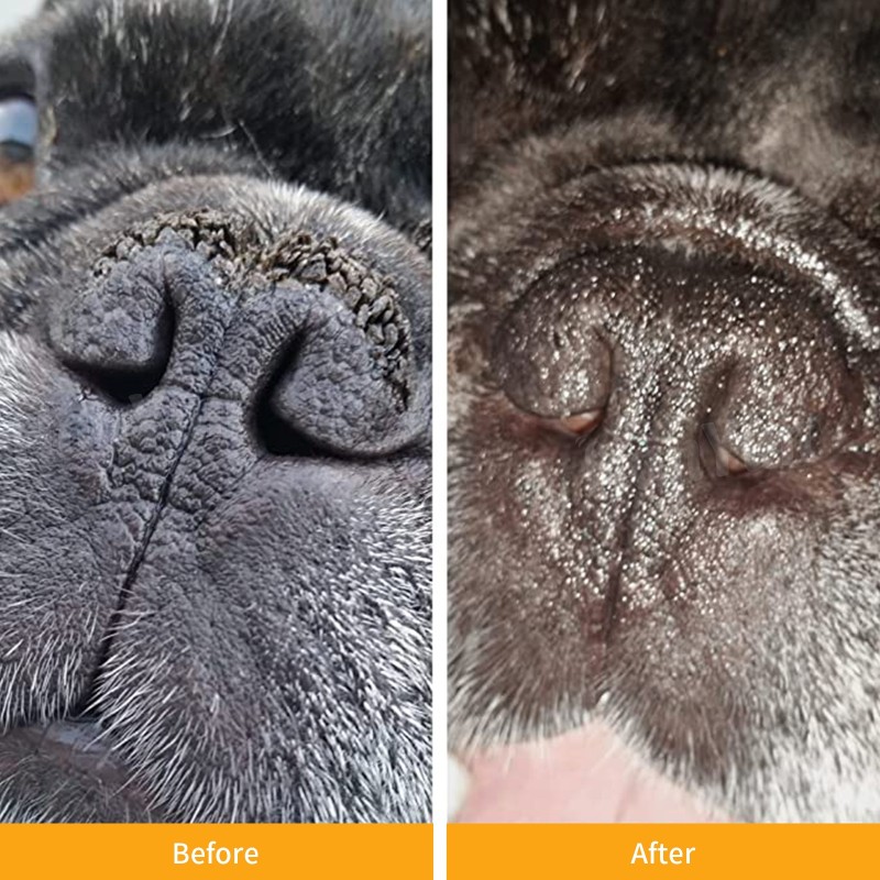 Pet Paw Protector Factory - Hanyun Natural Pet Paw Tection Dog Paw Balm Moisturizer Nourishing