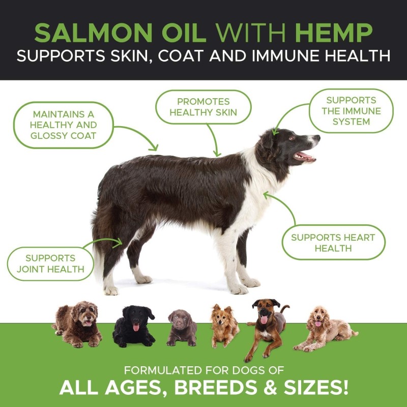 Pet Fish Oil Manufacturer - Wild Alaskan Salmon Oil for Dogs Cats Liquid Pump Food Supplements