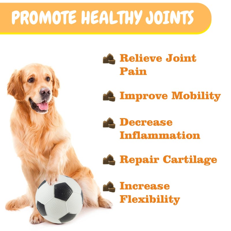Pet Functional Supplement Manufacturer - Private Label Hip Joint Soft Chew Relief Pain Mobility