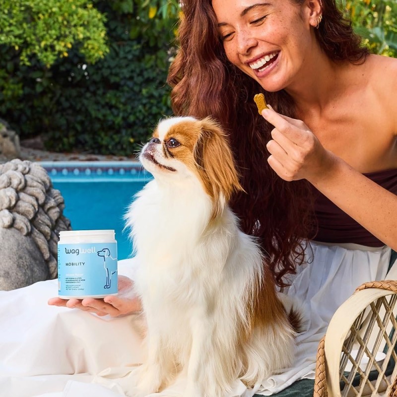 Pet Joint Chews Supplier - Wholesale Factory Hip Joint Soft Chews Support Mobility Free Sample