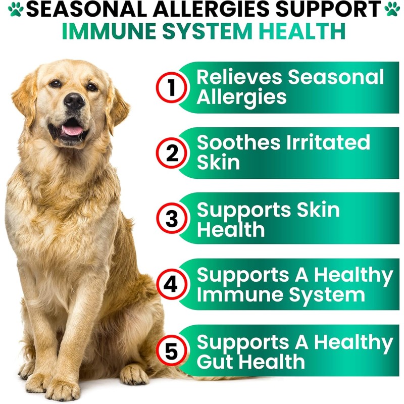 Pet Allergy Chews Factory - OEM Dog Allergy Chews Immune Bites Hot Spots Itch Relief Salmon Oil