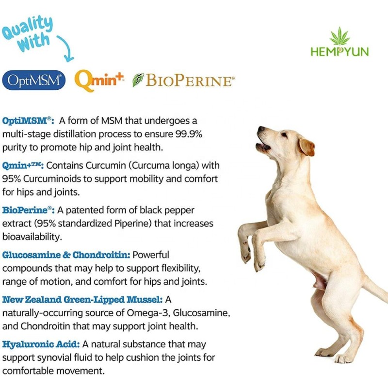 Pet Joint Supplement Factory - Factory OEM ODM Hip Joint for Dog Glucosamine Msm Turmeric Treats