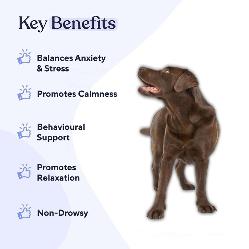 Pet Calming Chews Supplier - Custom Private Brand Professional Calming Chews Treats for Dogs