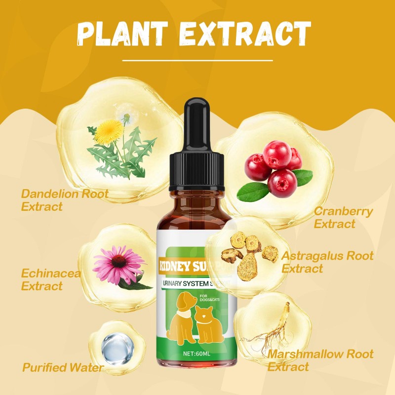 Pet Nutritional Supplement Supplier - Custom Urinary Kidney Energy Boost