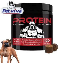 Dog Supplement Manufacturer - OEM High Protein Weight Gain Muscle Builder
