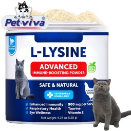 Cat Lysine Powder Factory - Private Label Immune Support Taurine Vitamin