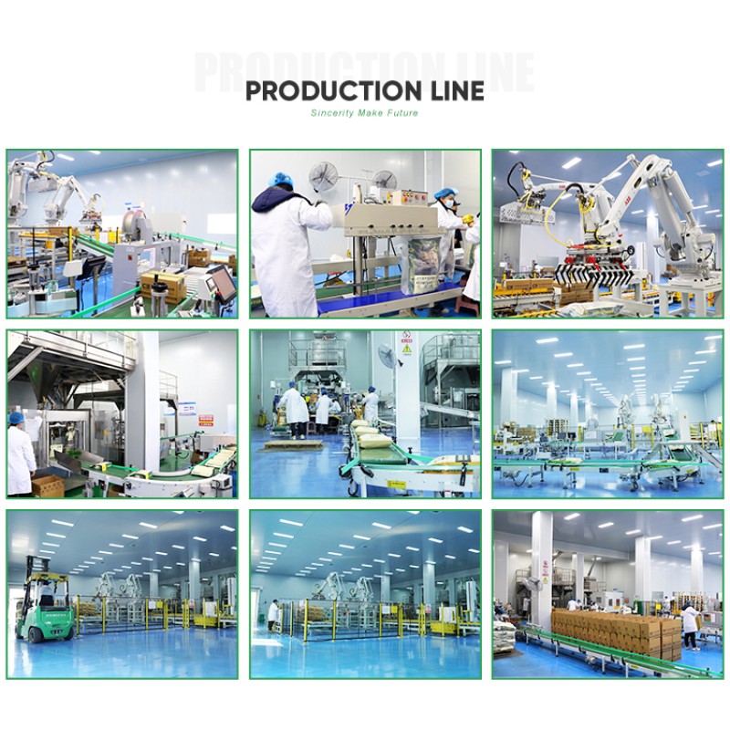 Pet Supplement Supplier - OEM 2025 Wholesale High Quality Probiotic Freeze-Dried Powder