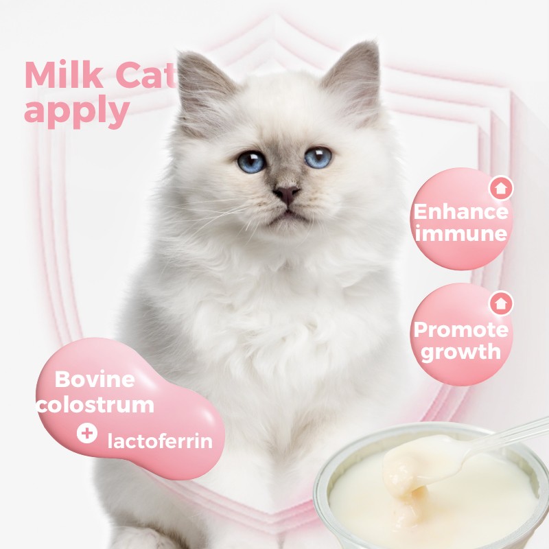 Pet Wet Food Manufacturer - Sell High-Quality Good Price Cat Wet Food Canned Goat Milk