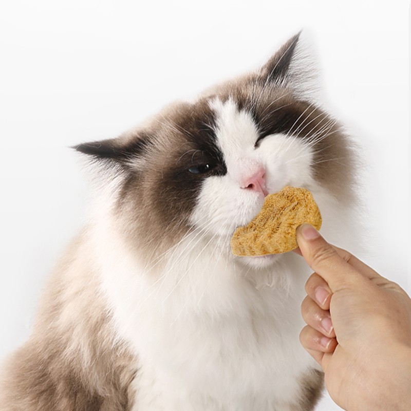 Pet Treats Manufacturer - OEM Top Quality Good Price Peptido Small Leaf Freeze-Dried Cat Treats