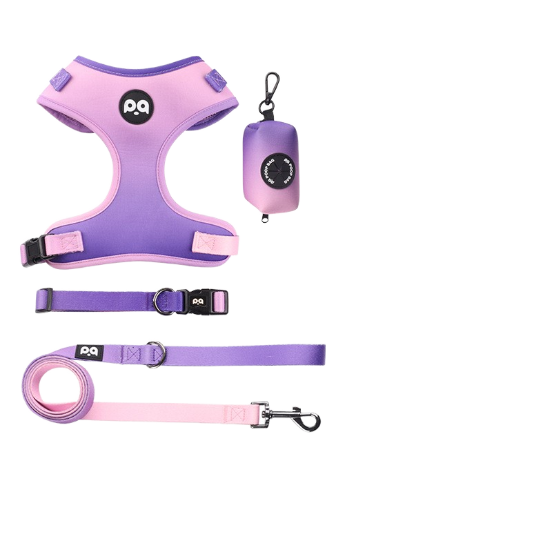 Pet Harness Set Factory - OEM Reflective Nylon Leash Collar Set