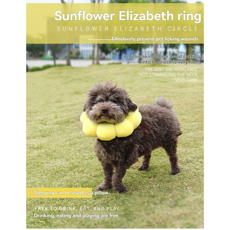 Cat Cone Collar Factory - OEM Anti-Bite Lick Wound Healing Collar