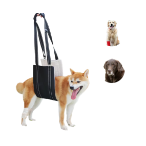 Dog Harness Factory - Custom Cushioned Elderly Disabled Assistance