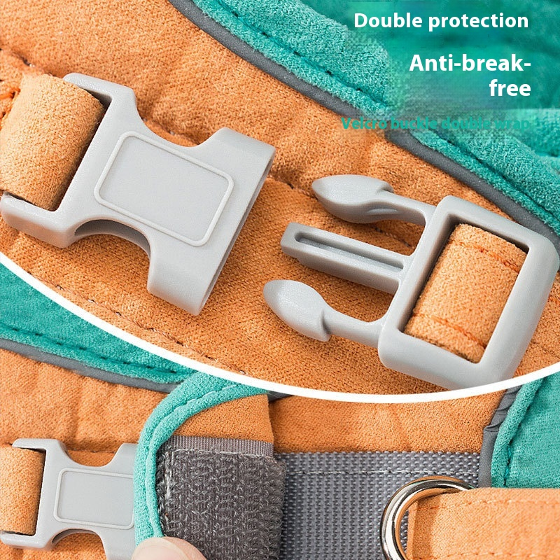 Pet Harness Manufacturer - OEM All-Season Padded Leash Set