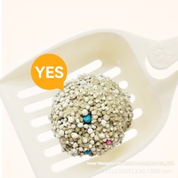 Cat Litter Manufacturer - Custom Bentonite Carbon Absorption Litter