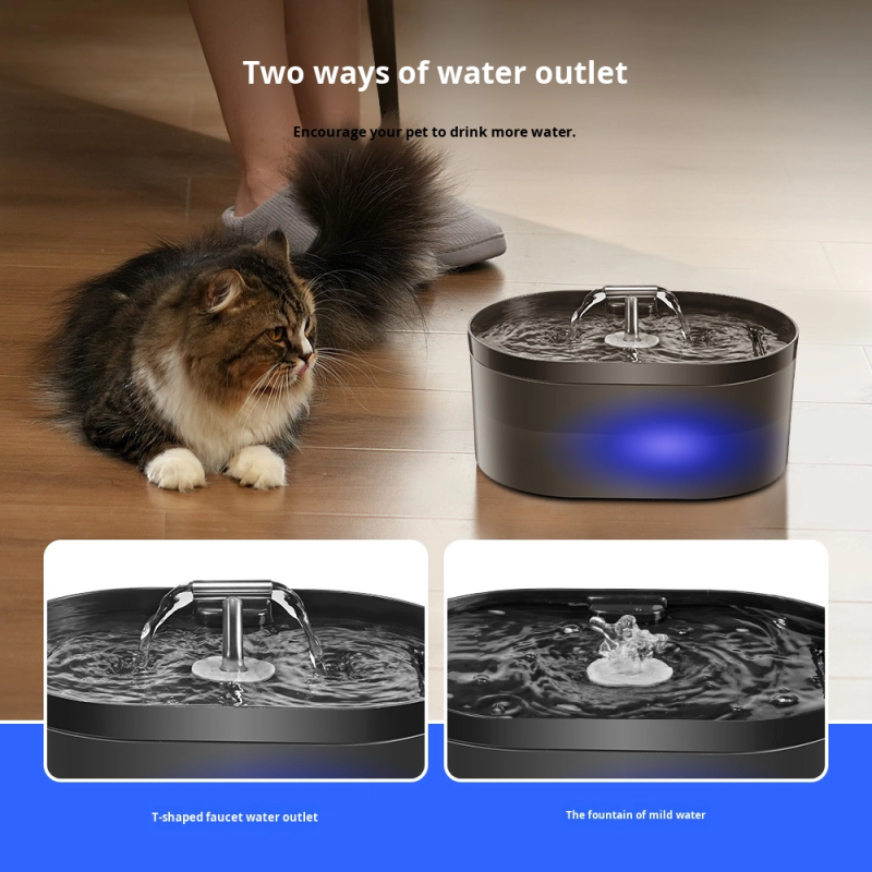 Pet Water Dispenser Manufacturer - OEM 2.2L Double Outlet T-Head