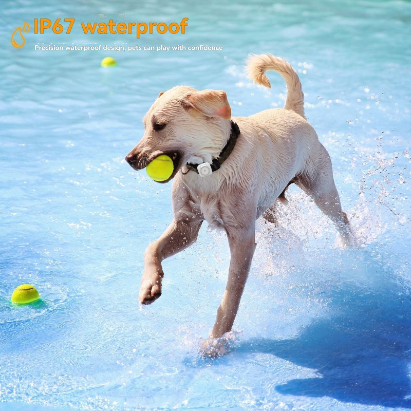 Pet Activity Monitor Manufacturer - OEM 4G Global Positioning Tracker