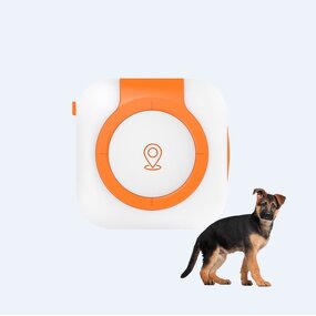 Pet Activity Monitor Manufacturer - OEM 4G Global Positioning Tracker