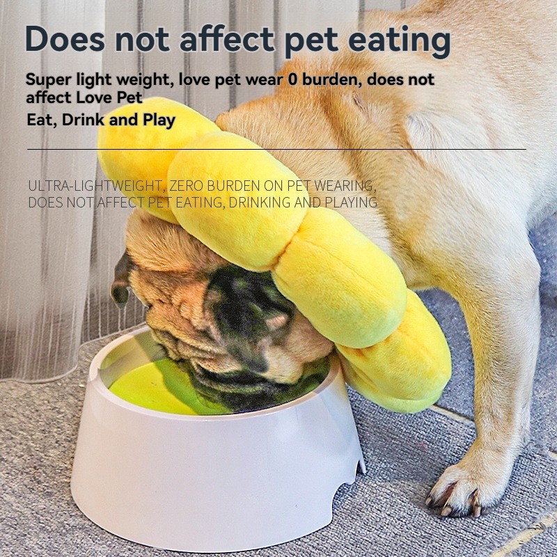 Cat Cone Collar Factory - OEM Anti-Bite Lick Wound Healing Collar