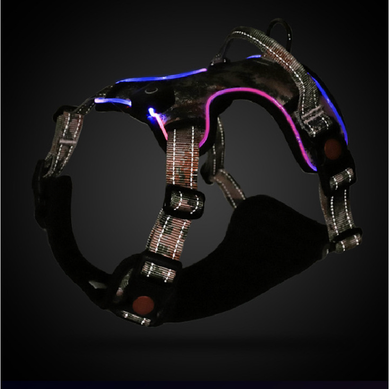Dog Collar Supplier - Custom LED Light Polyester Harness Print