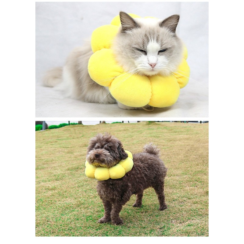 Cat Cone Collar Factory - OEM Anti-Bite Lick Wound Healing Collar