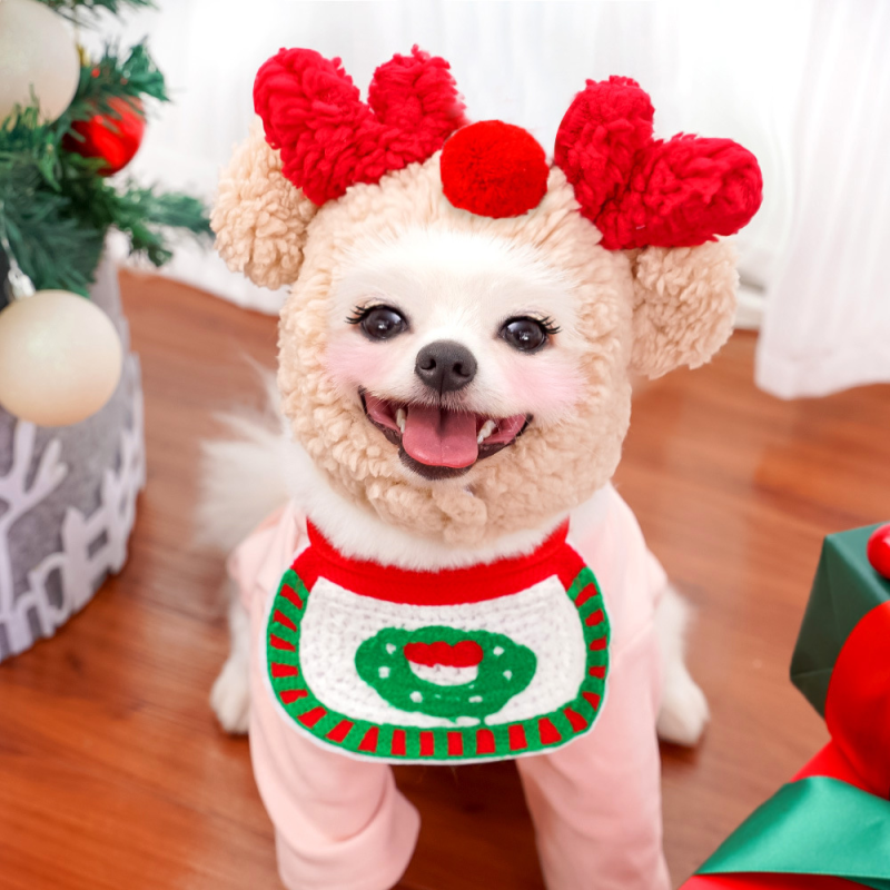 Pet Apparel Supplier - OEM Autumn Winter Bibs Hats Accessories