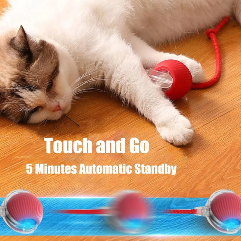 Pet Exercise Toy Supplier - Interactive USB Rechargeable Automatic Silicone Roller Bite-Resistant Ball