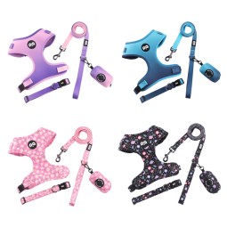 Dog Leash Supplier - Factory Wholesale Luxury Custom Puppy Leash Dog Collar Harness Set Adjustable Polyester