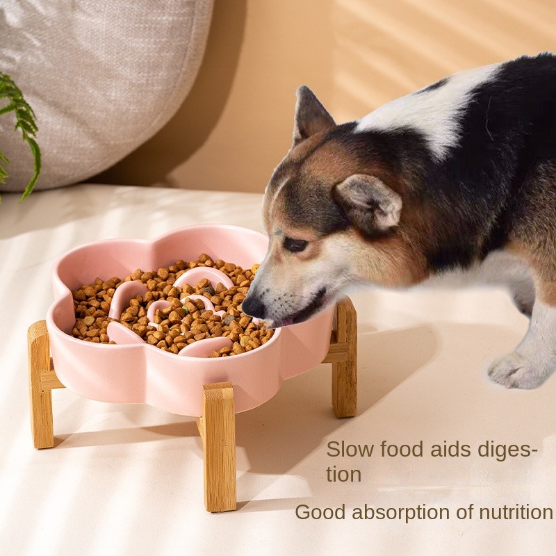 Pet Bowl Manufacturer - Ceramic Slow Food Pet Bowl Medium Large Pets Eco-Friendly Wooden Rack