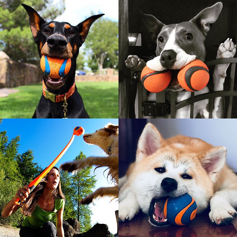 Pet Toy Manufacturer - Interactive Rubber Dog Chewer With Bite-Resistant Molars Funny Style Rope Toy