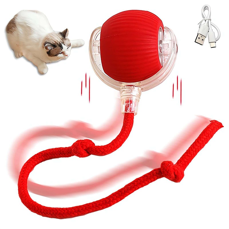 Pet Exercise Toy Supplier - Interactive USB Rechargeable Automatic Silicone Roller Bite-Resistant Ball