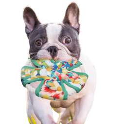 Dog Chew Toy Supplier - Dog Toys Self-Hi Molar Artifact Pet Products Pet Toys Bite Resistant Sustainable