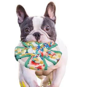 Dog Chew Toy Supplier - Dog Toys Self-Hi Molar Artifact Pet Products Pet Toys Bite Resistant Sustainable