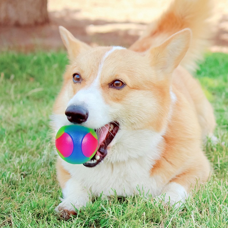 Dog Toy Ball Factory - Small Tri-Color Luminous Elastic TPR Dog Toy Ball Interactive Training Playing
