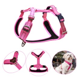Dog Harness Supplier - 2025 New Fashion Outdoor Adjustable Soft Nylon Pet Vest Dog Harness XL Padded