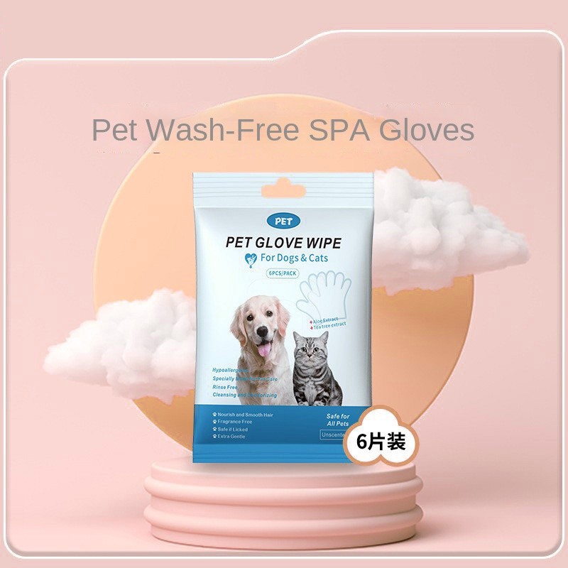 Pet Dental Wipes Supplier - Soft Eco-Friendly Disposable Dog Dental Wipes Wet Pet Care Oral Cleansing Teeth