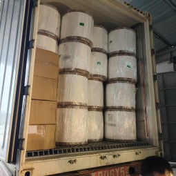 Carrier Tissue Supplier - Carrier Tissue for Sanitary Napkin and Nursing Pad Hygiene Products