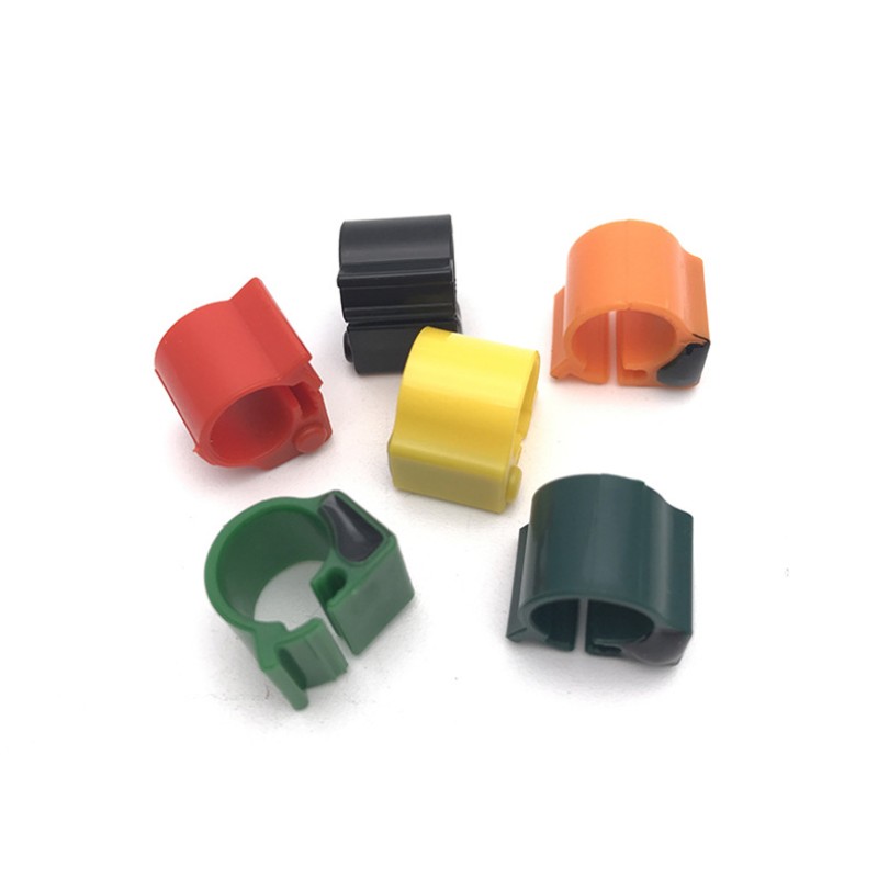 RFID Pigeon Ring Supplier - RFID Pigeon Ring with Chips for Benzing System Bird Identification