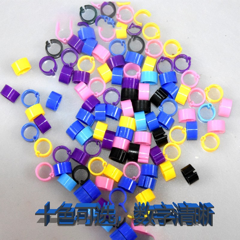 Pigeon Ring Factory - Digital Identification Ring Open Pigeon Feet Ring for Bird Identification