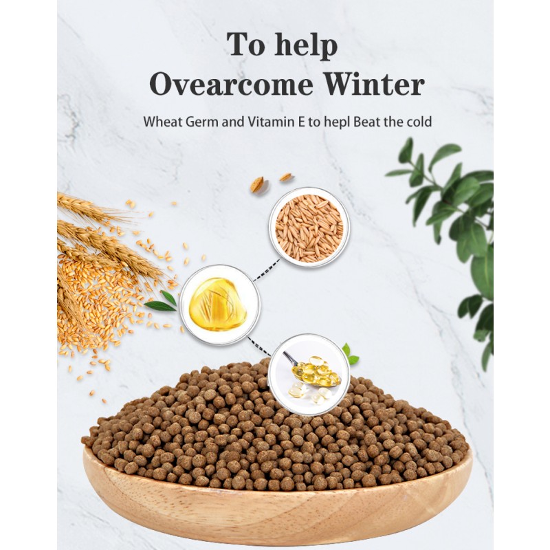 Goldfish Food Manufacturer - Wholesale Tropic Goldfish Aquarium Granular Fish Feed Koi Fish Food