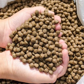 Goldfish Food Manufacturer - Wholesale Tropic Goldfish Aquarium Granular Fish Feed Koi Fish Food