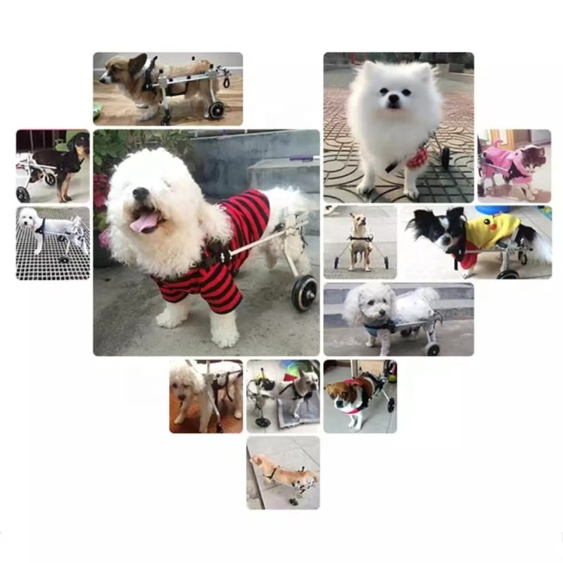 Dog Wheelchair Factory - Adjustable Dog Cart 2 Wheels Chair Pet Mobility for Handicapped Pets